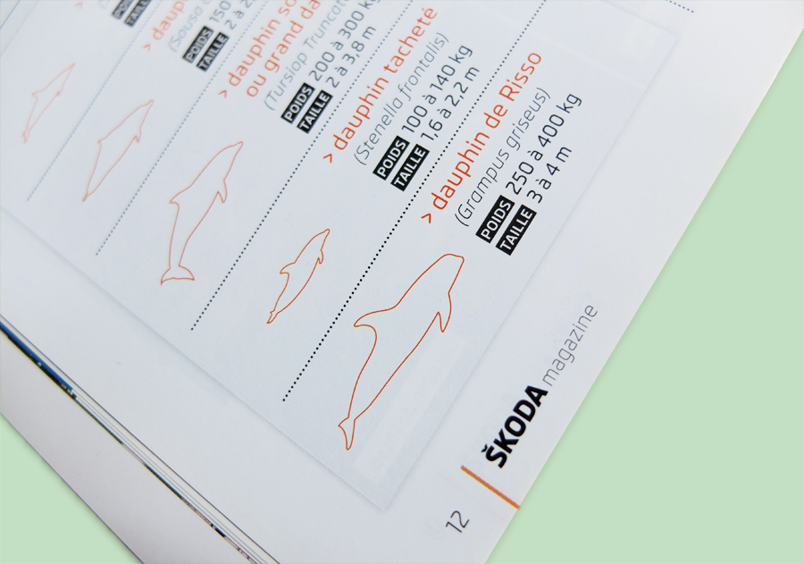 Magazine_Skoda_14