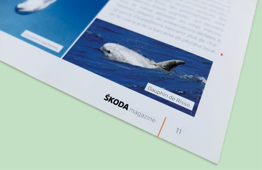 Magazine_Skoda_15